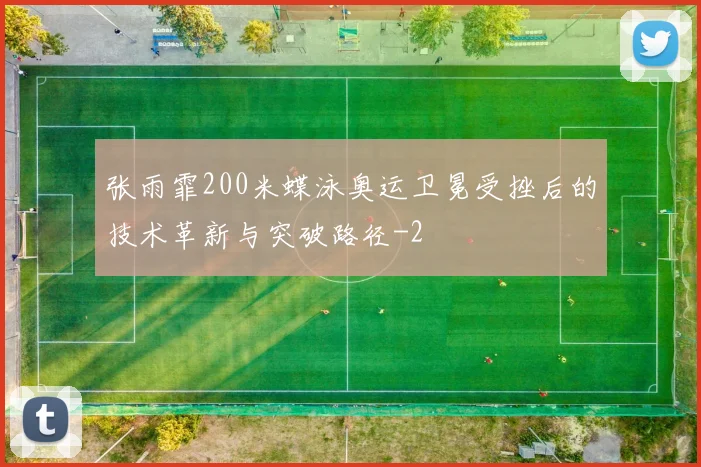 张雨霏200米蝶泳奥运卫冕受挫后的技术革新与突破路径