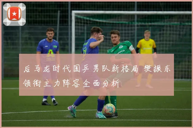 后马龙时代国乒男队新格局 樊振东领衔主力阵容全面分析