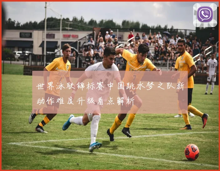 世界泳联锦标赛中国跳水梦之队新动作难度升级看点解析